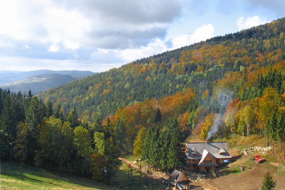 widok na góry sowie