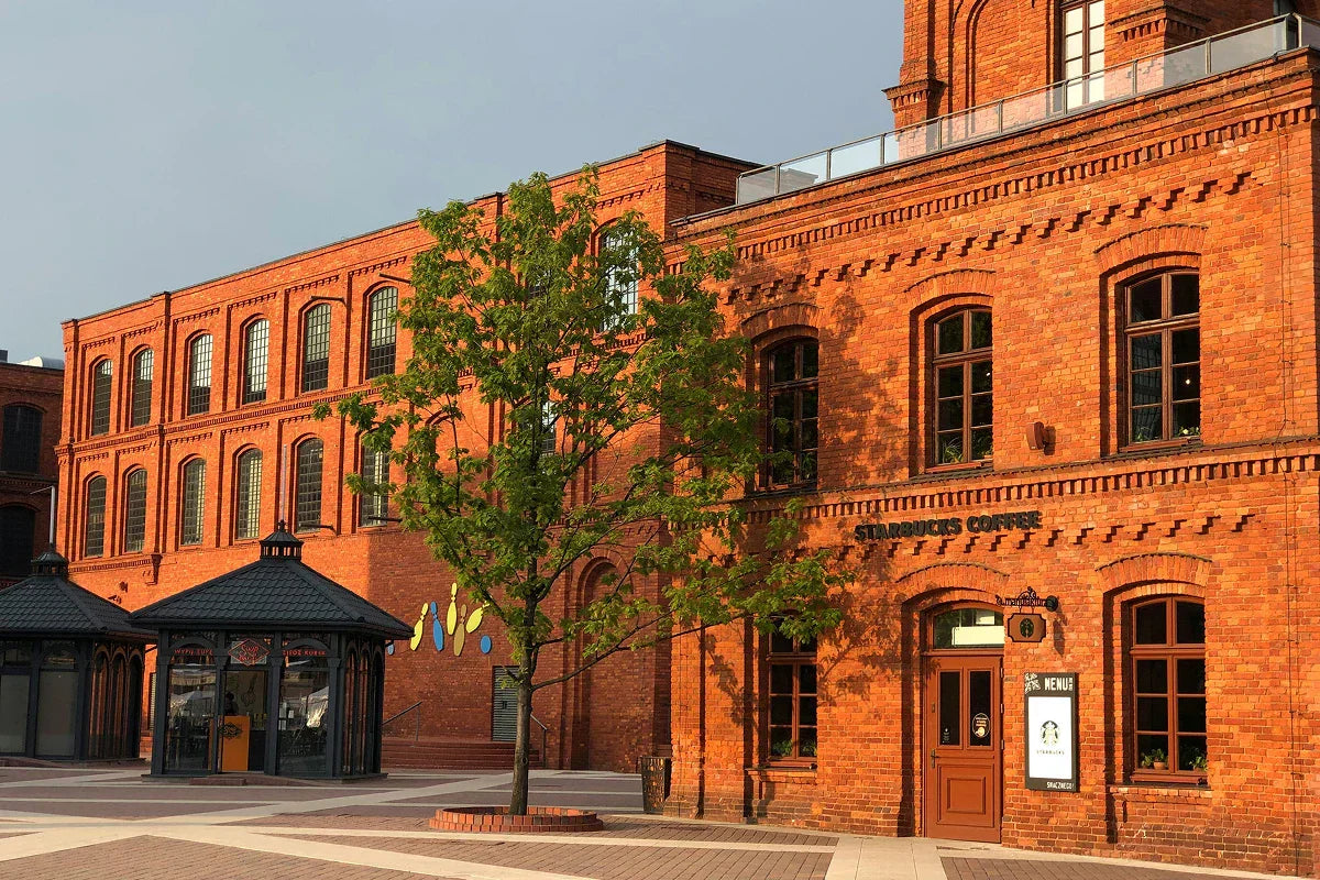 widok na architekturę łódzką