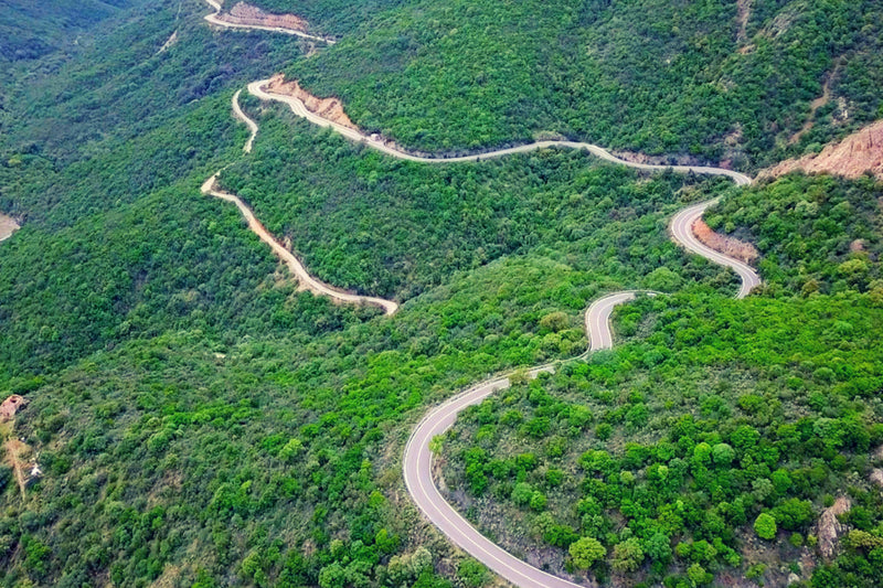 Zielone wzgórza na Sardynii, na środku zdjęcia widoczna kręta droga asfaltowa, ciągnąca się w dal